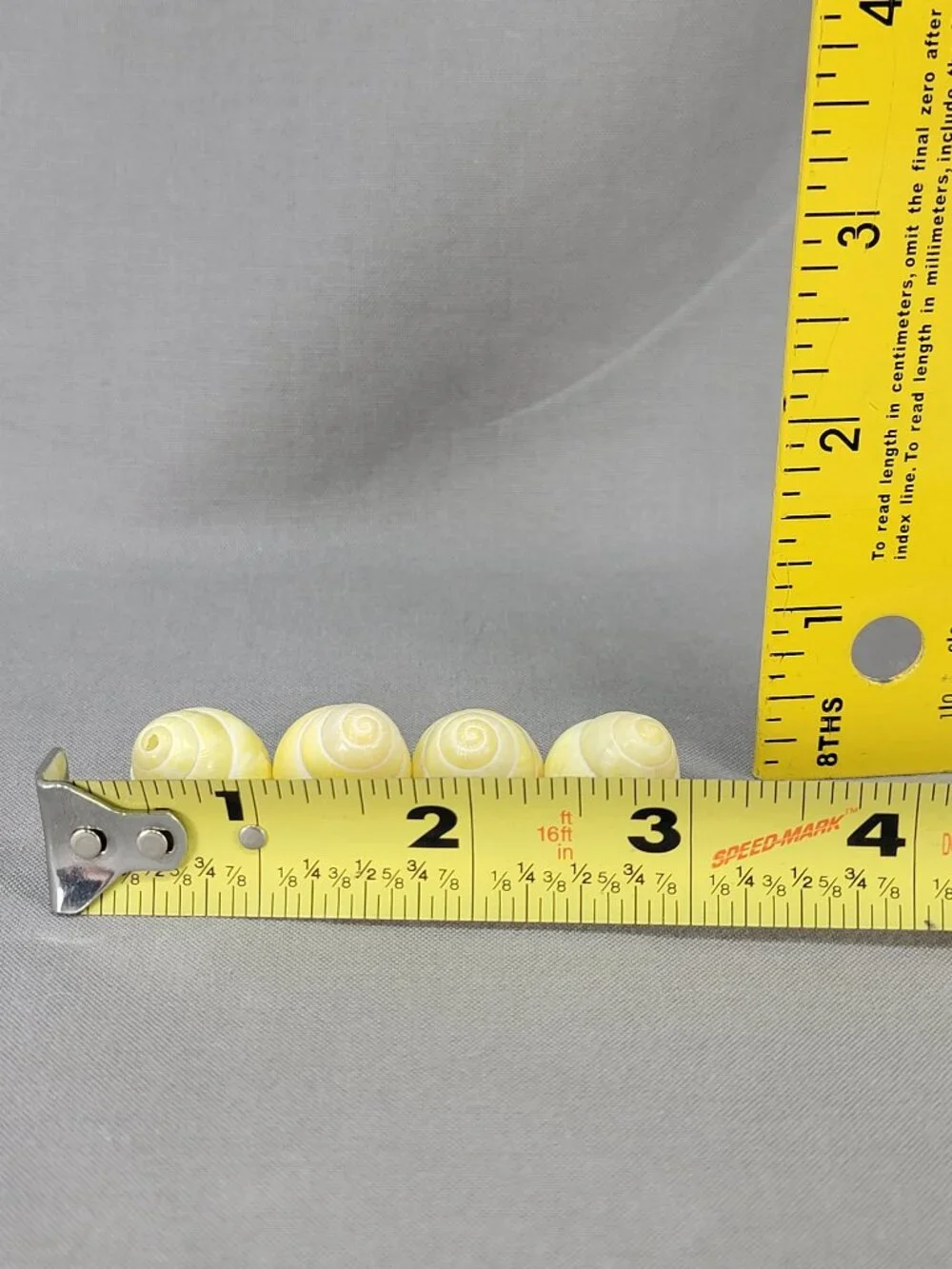 Yellow Banded Land Snail Shells Lot of 4 Decor Crafts